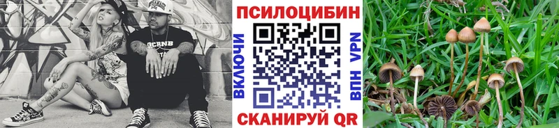 Псилоцибиновые грибы Magic Shrooms  Светлогорск 